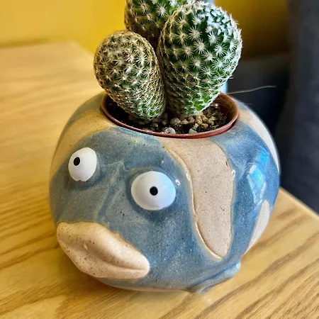 La Tortuga Ocean View דירה *